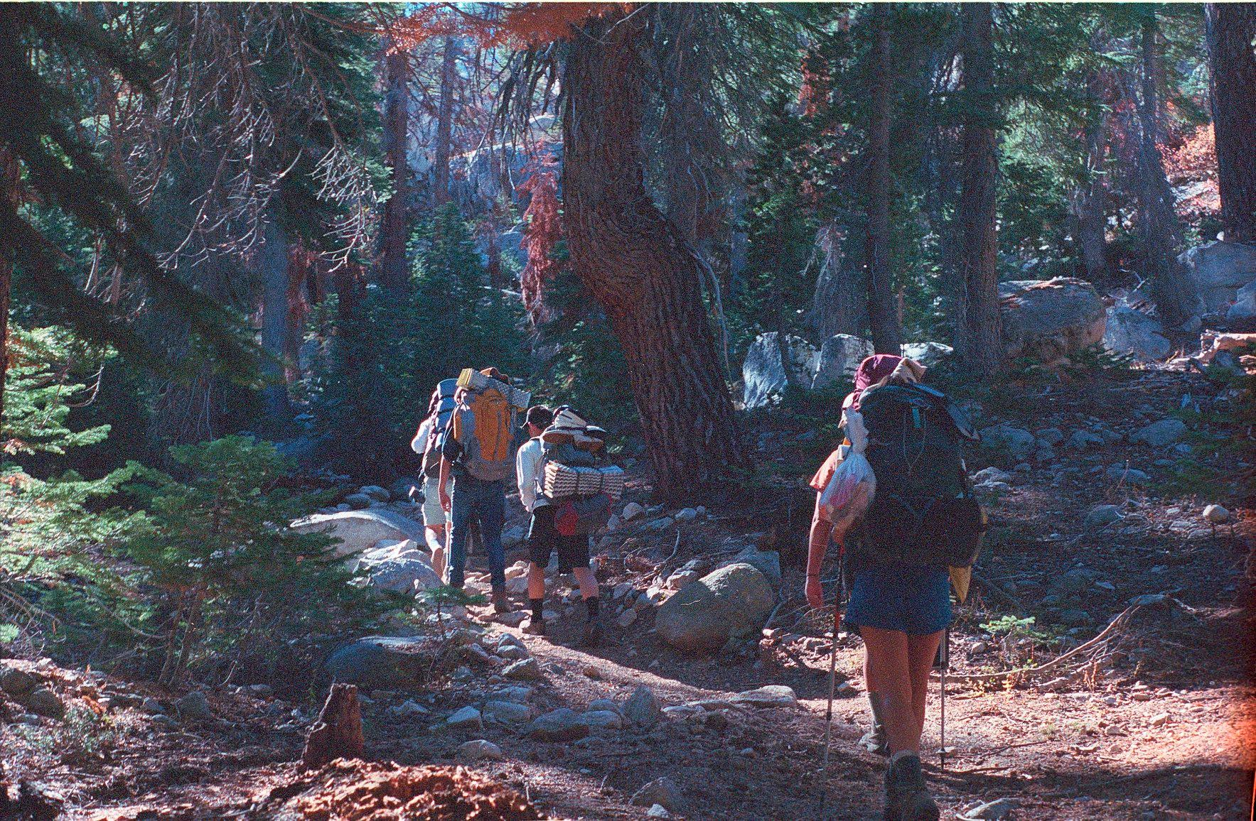 Film photograph.