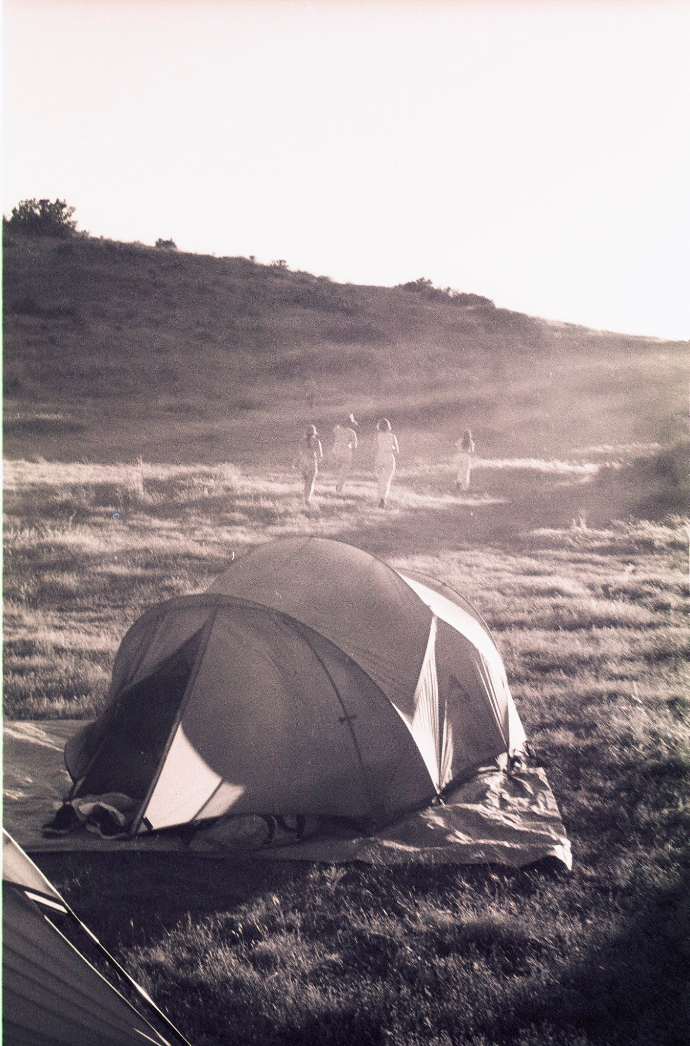Film photograph: a tent pitched on a grassy hillside at golden hour.