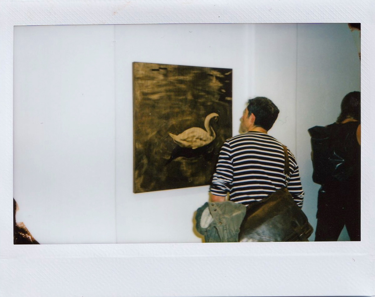 Film photograph, Plaster series.
